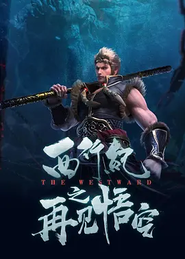 91视频区